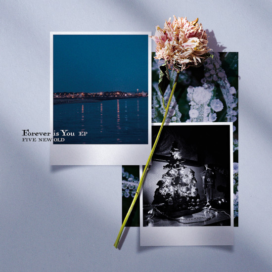 FIVENEWOLF_FiY_FIX_1008